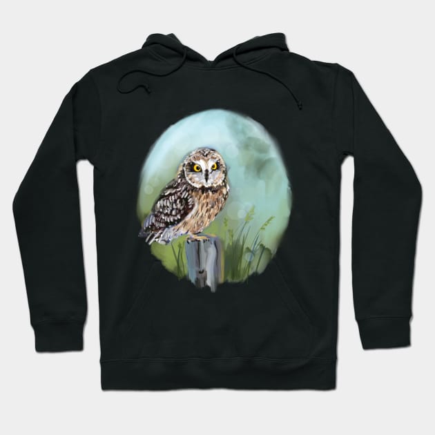 Short eared owl on blue Hoodie by Orangerinka